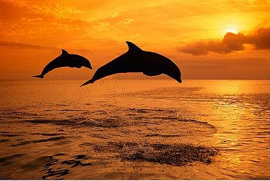 《第一后裔》Steam在线峰值超21万 评价却褒贬不一